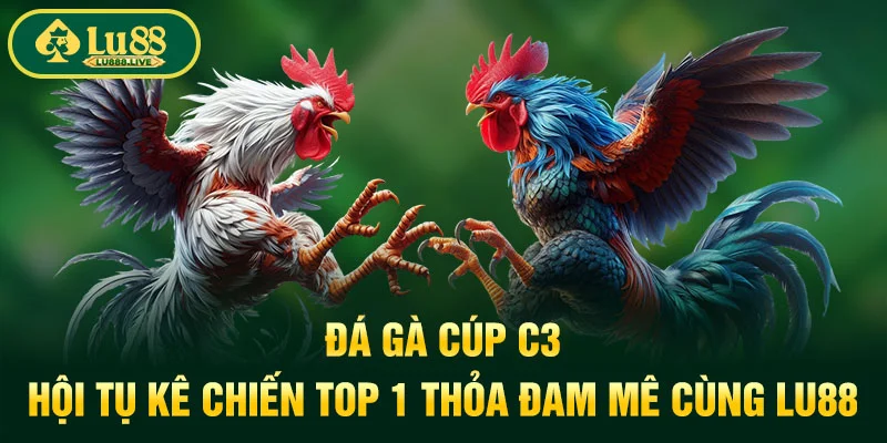 Đá Gà Cúp C3 - Hội Tụ Kê Chiến Top 1 Thỏa Đam Mê Cùng LU88