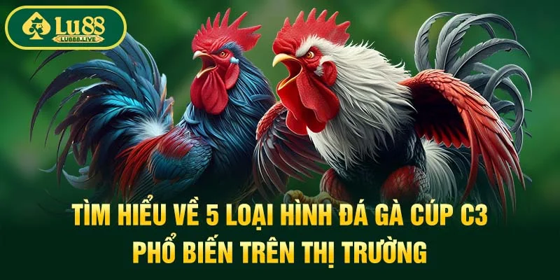 Tìm hiểu về 5 loại hình đá gà cúp C3 phổ biến trên thị trường