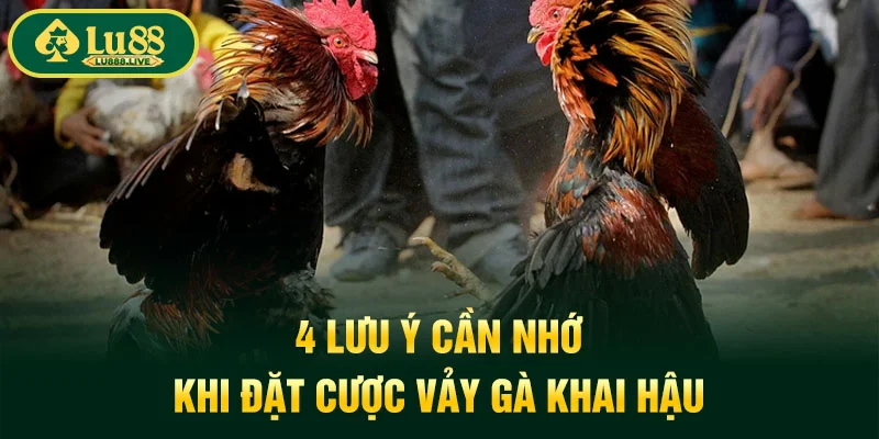 4 lưu ý cần nhớ khi đặt cược vảy gà khai hậu